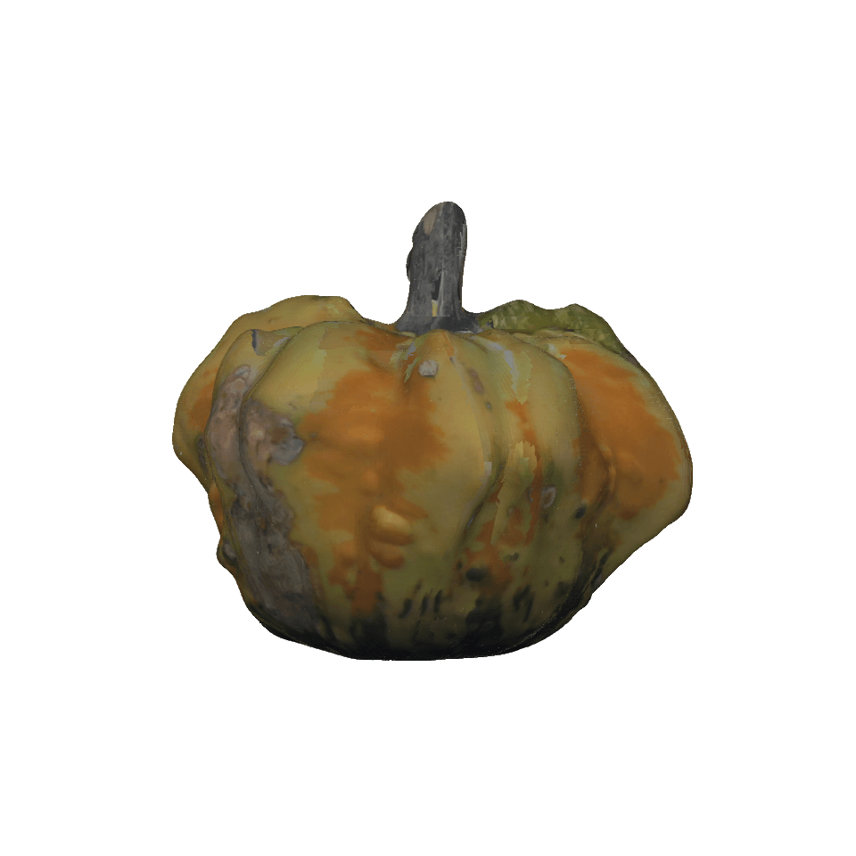 Decorative Gourd